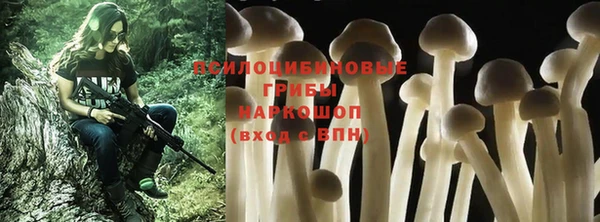 мет Кукмор