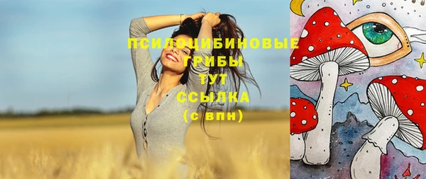 мет Кулебаки
